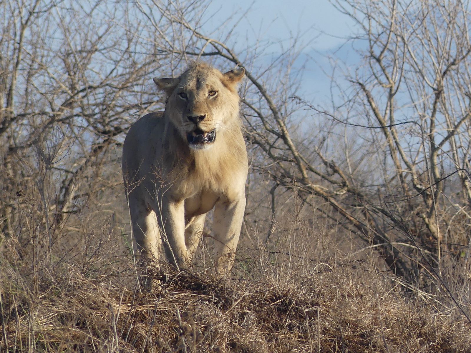 TANZANIA