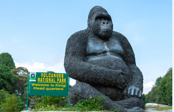 3 Nights/ 4 nights  Rwanda Safari
