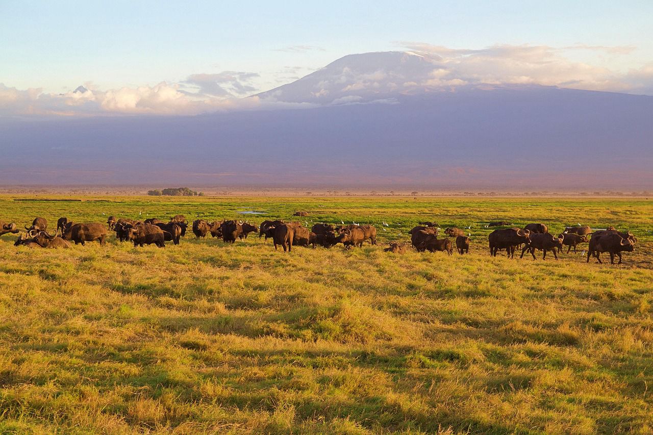 2 Nights / 3 Days Amboseli