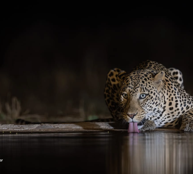 2 Nights/ 3 Days Samburu