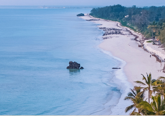 Wonder Watamu