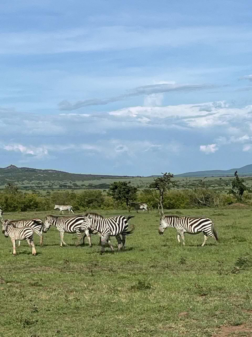 2 Nights/ 3 Days Samburu