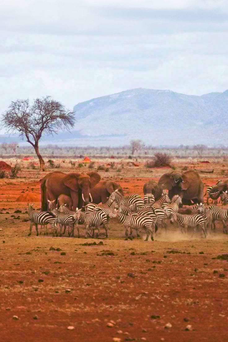 SAMBURU NATIONAL RESERVE