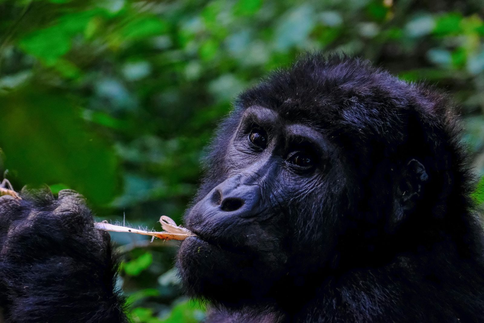 WILDLIFE, CULTURE AND SCENIC ESCAPE