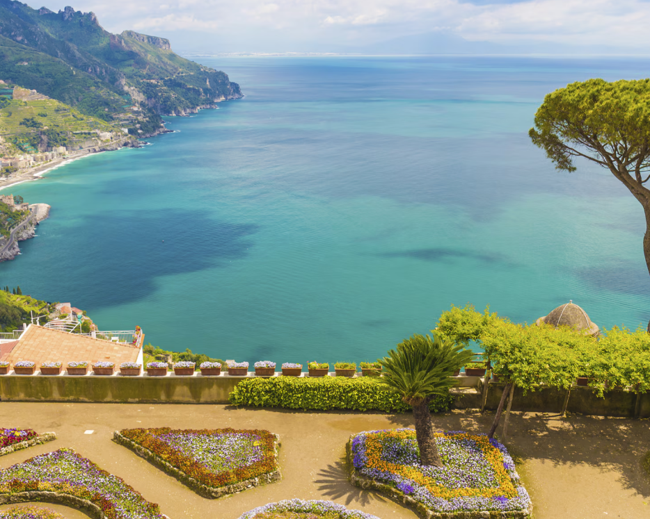 MEDITERRANEAN