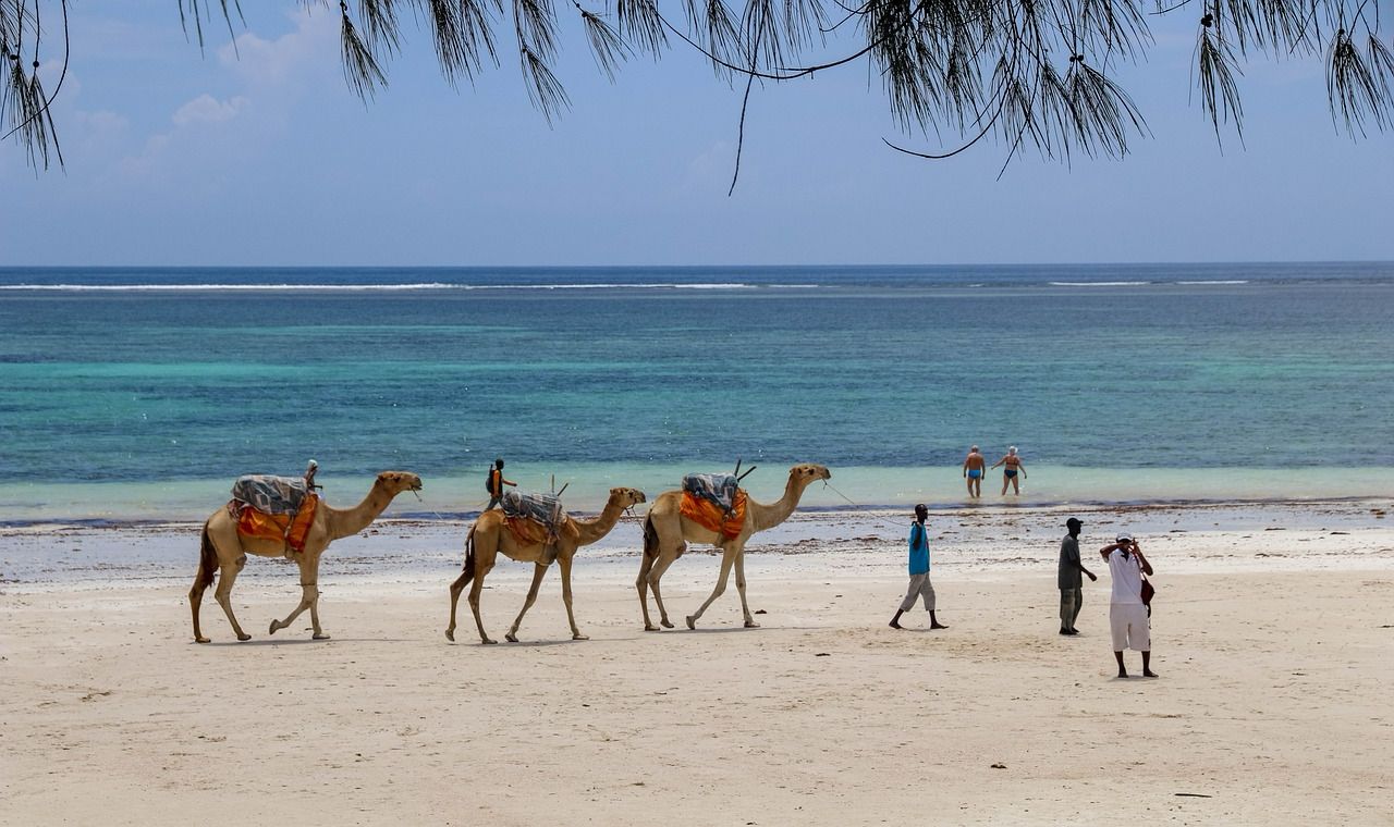 SOUTH COAST OF MOMBASA