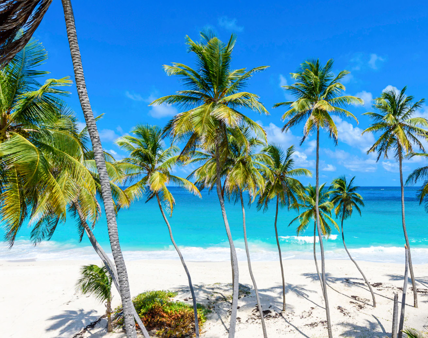 CARIBBEAN & ANTILLES